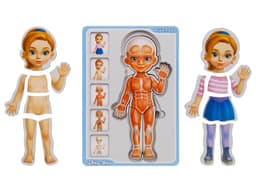 🧬👧 Багатошаровий дерев’яний пазл «Анатомія людини – дівчинка»  - 2