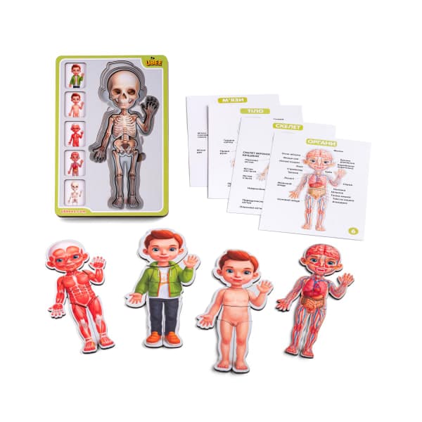 🧩👦Дерев'яний 5-шаровий пазл “Анатомія людини – хлопчик”